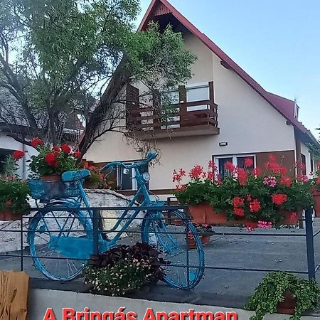 A Bringas Apartman Balatonfüred Zewnętrze zdjęcie