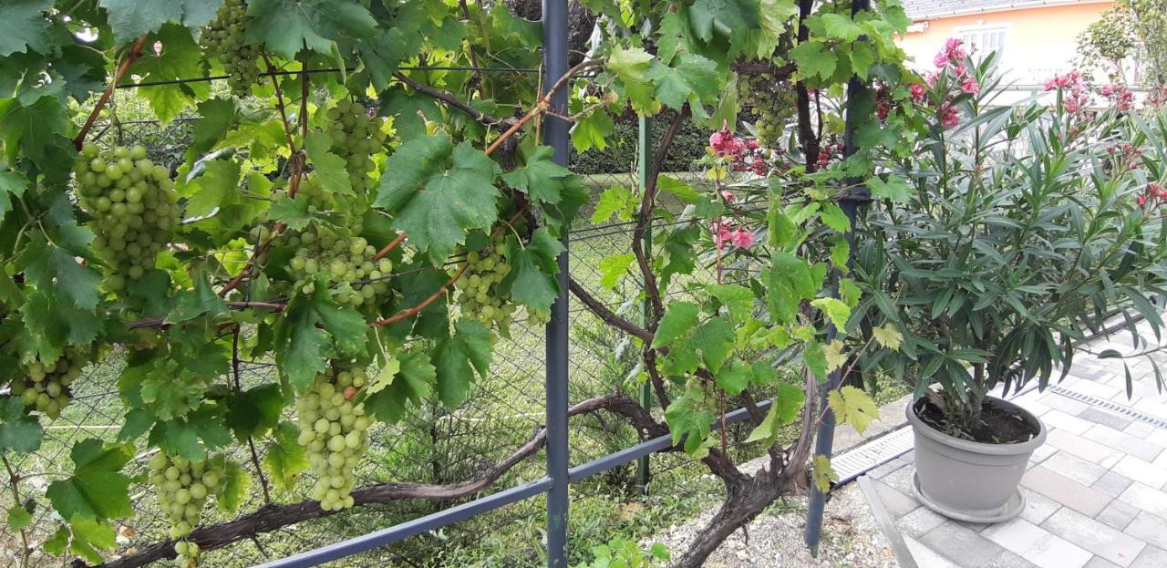 A Bringas Apartman Balatonfüred Zewnętrze zdjęcie